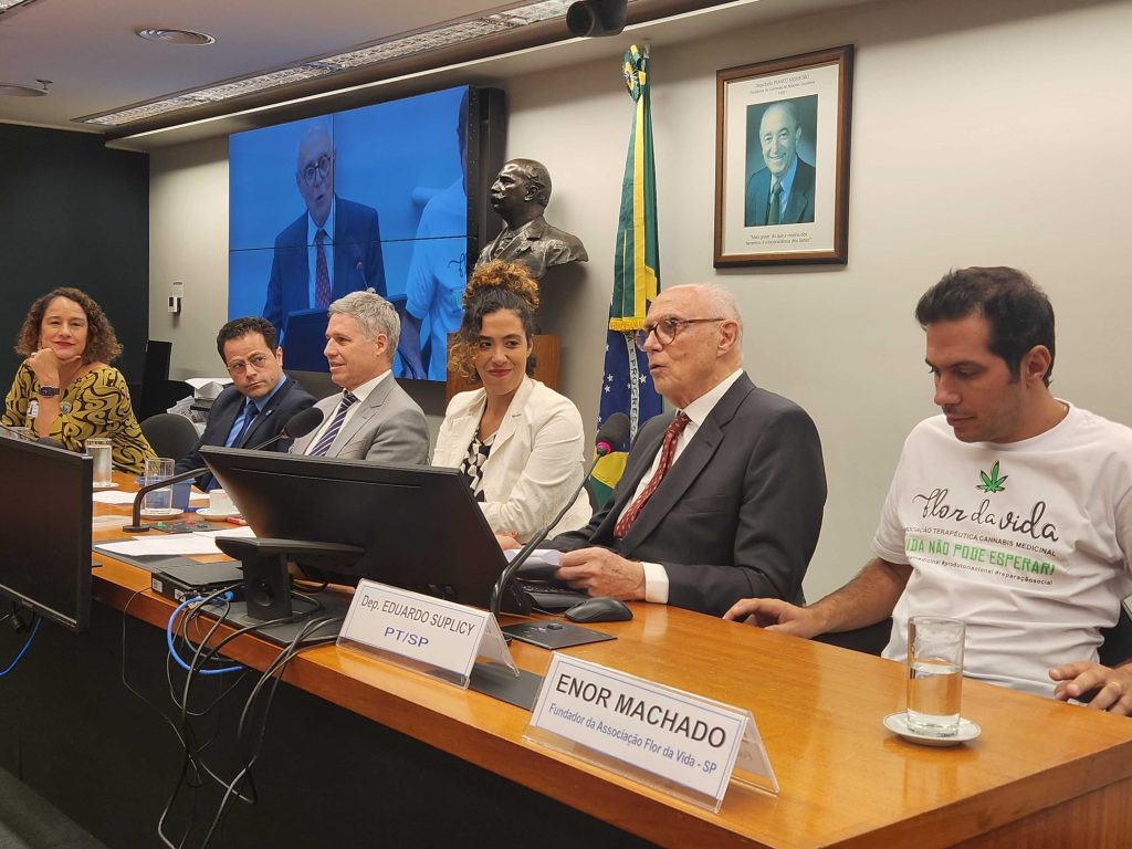 Imagem da mesa da audiência pública, em que aparece Talíria Petrone, Eduardo Suplicy e o ministro Paulo Teixeira